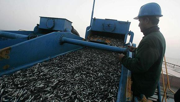 Un TLC permitiría que se afiancen productos agropecuarios y pesqueros. (USI)