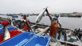 Bono pescadores: fecha de pago y monto del subsidio se conocerá el 2 de marzo, según el Midis