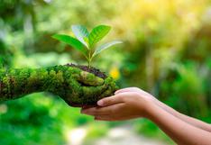 Día Mundial de la Educación Ambiental: Conoce cómo podemos ayudar a cuidar el planeta