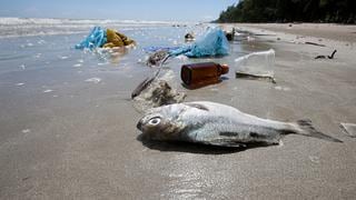 ¿Cómo combatir la contaminación marina y el plástico?