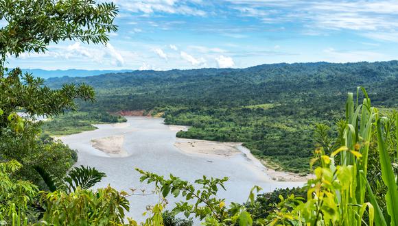 El 12 de abril se desarrollará el proyecto Sembrando Oxígeno en la Amazonía, que busca promover la sensibilización ecológica entre las comunidades en Neshuya (Ucayali), informó el Grupo Pro Amazonía. (Foto: Shutterstock)