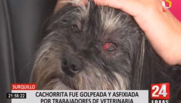 Una mujer denunció que su perrita fue maltratada en el interior de la veterinaria ‘Kokovet’, ubicada en el distrito de Surquillo. (Foto: 24 Horas)