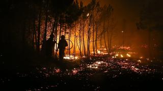 EEUU: Incendio forestal amenaza con arrasar más de 2,000 viviendas