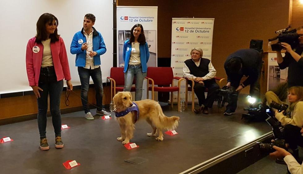 Los canes fueron rescatados por la Asociación Souling luego de estar abandonados y adiestrados para trabajar con los pacientes.  (Foto: Comunidad de Madrid)