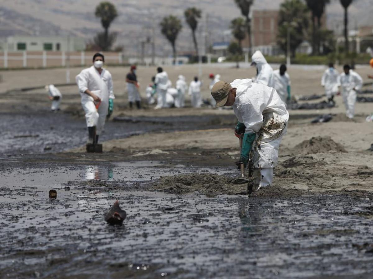 A un mes del derrame de petróleo en Ventanilla: multas a Repsol, fauna en  peligro, avances y culminación de limpieza OEFA RMMN | LIMA | PERU21