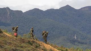 Colombia: Las FARC estudian acatar cese al fuego por Navidad