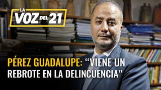 José Luis Pérez Guadalupe: “Viene un rebrote en la delincuencia”