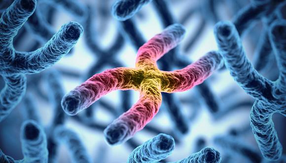 Ilustración 3D de un cromosoma. Las variantes genéticas en los cromosomas 3 y 9  pueden agravar la infección por coronavirus. (Imagen referencial: Shutterstock)
