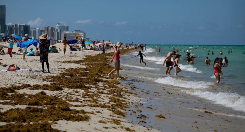 Imagen referencial. La gente se reúne en la playa en Miami Beach, Florida, el 16 de junio de 2020. (AFP / Eva Marie UZCATEGUI).