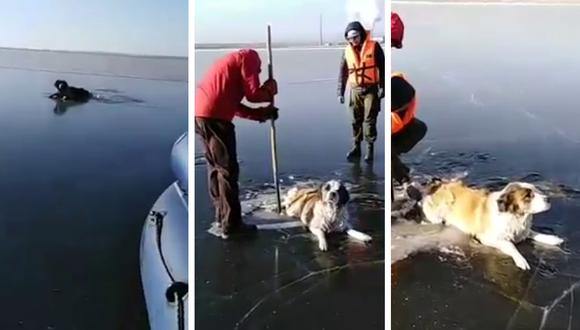 El perrito se salvó de morir congelado gracias al rápido accionar de estos buenos samaritanos. (Crédito: Андрей Ефимов en YouTube)