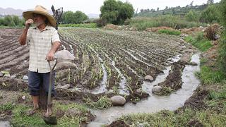 ComexPerú: El Estado debe promover mayores proyectos de irrigación