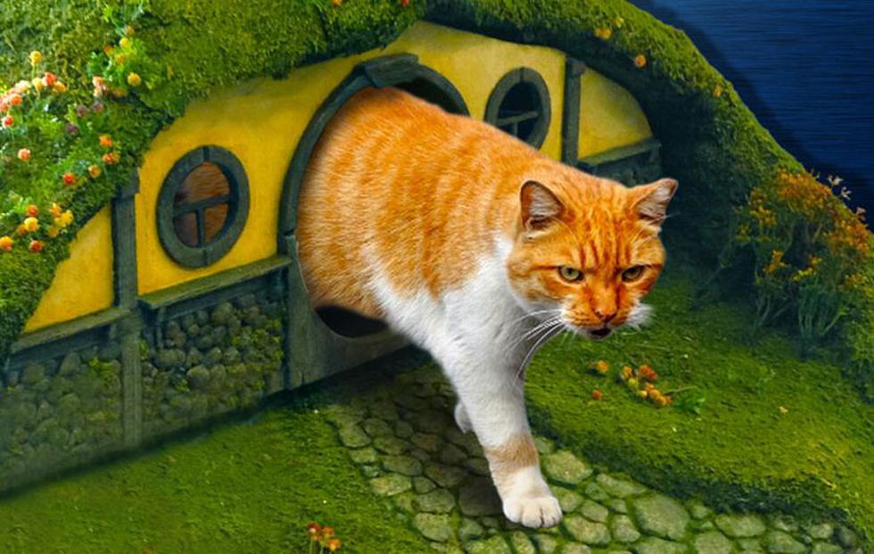 ¿Cómo tu gato puede vivir como un hobbit? (Bored Panda)
