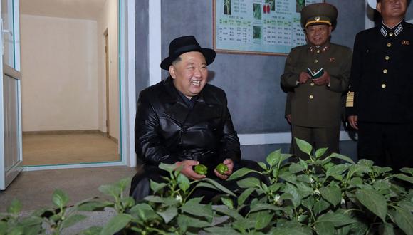 El líder de Corea del Norte, Kim Jong Un (izquierda), visitando la granja de invernaderos Yeonpo en la provincia de Hamgyong del Sur. (Foto de KCNA VÍA KNS / AFP)