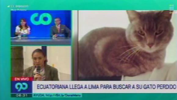 Dueña del gatito perdido en el aeropuerto Jorge Chávez no pudo hallar a su mascota (Latina)