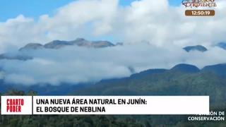 Conoce “El Bosque de Neblina”, la nueva reserva natural ubicada en Junín