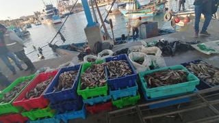 Fiscalía intervino una embarcación que realizaba pesca ilegal en mar de Talara