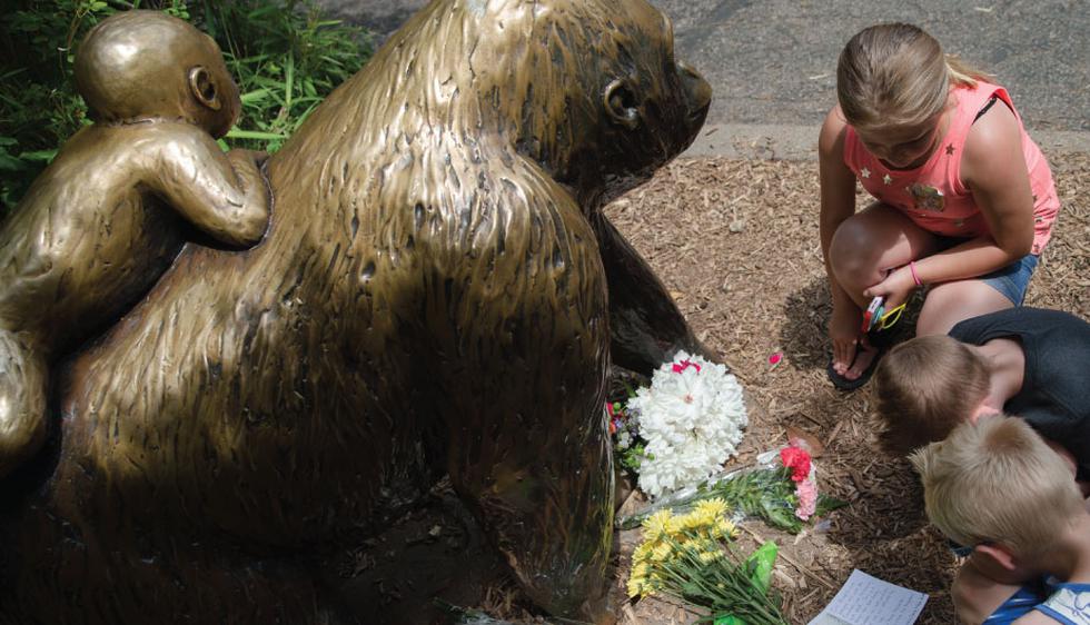 Estados Unidos: Organizan vigilia en honor del gorila sacrificado en zoológico (AFP)