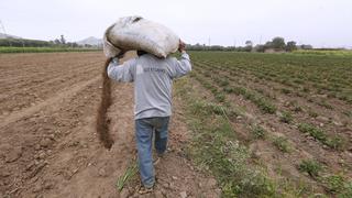 Gobierno oficializan nulidad de compra de fertilizantes y dispone acciones para tercera licitación 