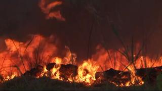 Incendios forestales aumentaron en Brasil durante el 2020