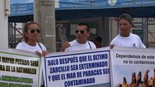 Stefan Austermühle: SENACE desaprueba construcción de almacén de concentrados en bahía de Paracas