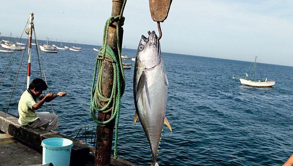 Se elaboró un Plan de Acción Mundial para la pesca y acuicultura, señala el Produce. (Foto: GEC)