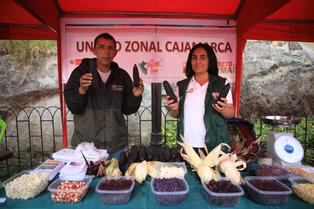 Cajamarca: Inauguran II Festival del Maíz y entregan más de 1,300 títulos de propiedad rural
