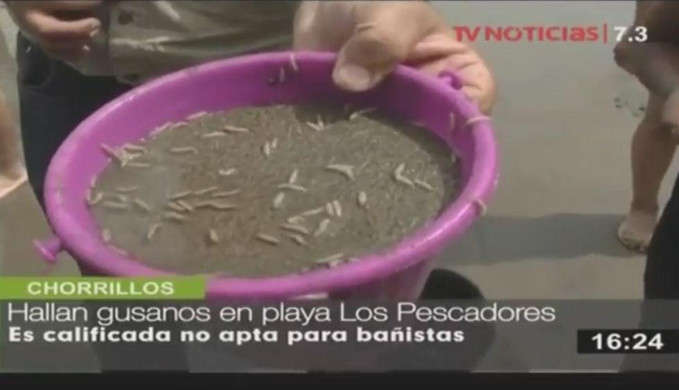 Un informe de TV Perú reveló la presencia de gusanos en la arena de la playa Los Pescadores en Chorrillos. (Captura)