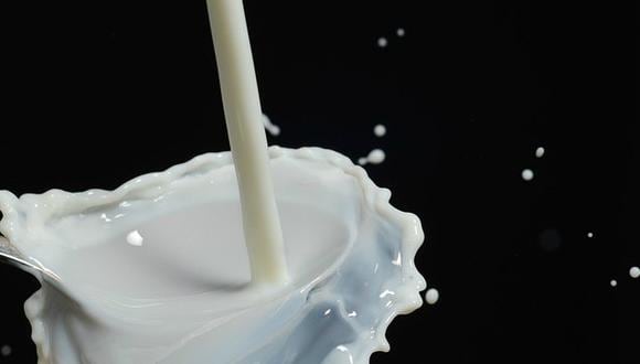 Ejecutivo observó la ley que prohibía el uso de la leche en polvo. (USI)