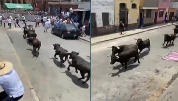 Siete toros fueron soltados en el Rímac. (Foto: captura Twitter)