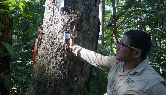 Osinfor presentó un renovado sistema de información en Ucayali ante autoridades y representantes que laboran en el sector forestal.