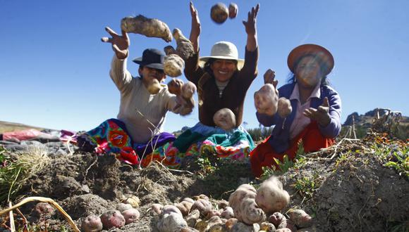 Cada 24 de junio se celebra a los campesinos y campesinas del Perú (Foto: Andina)