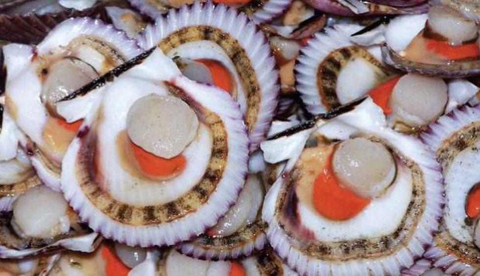 Conchas de abanico: Las pepitas de oro del mar peruano. (GEC)