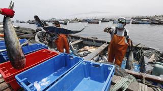 Bono pescadores: Produce tiene identificados a 2,500 trabajadores que serán beneficiarios