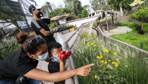 Parque de las Leyendas celebra el Día del Agua con diversas actividades. (Foto: Difusión)