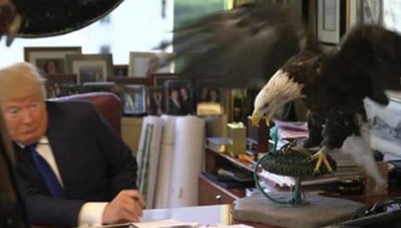 Donald Trump fue atacado por un águila durante sesión fotográfica de revista Time. (Mashable)