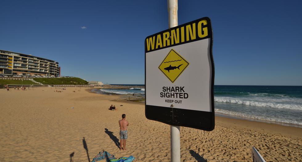 Un adolescente de 15 años falleció el sábado luego de ser atacado por un tiburón. (Foto: PETER PARKS / AFP)