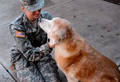 Esta es la bienvenida más tierna y adorable de un viejo perro a una mujer militar