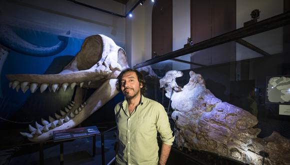 Rodolfo Salas, paleontólogo peruano formado en Francia.