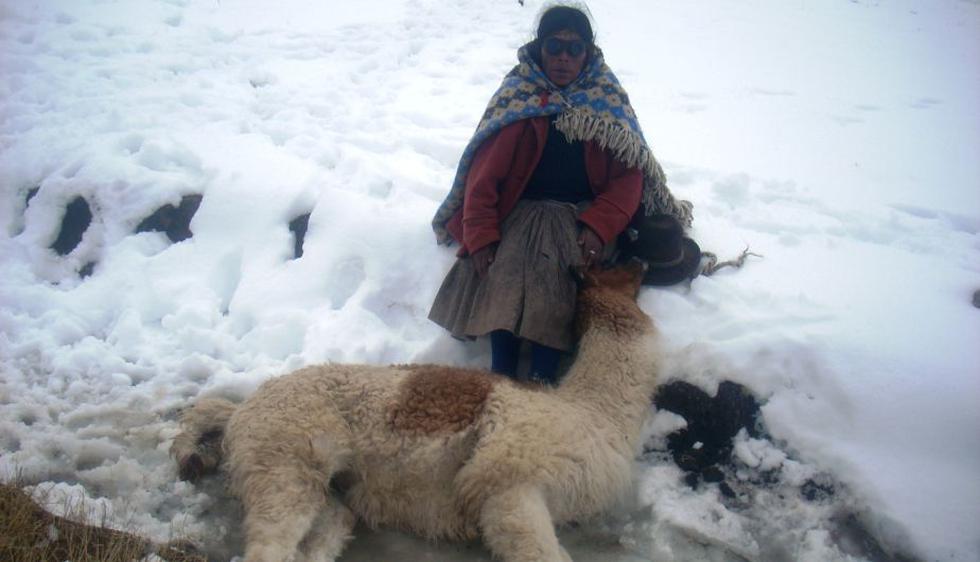 Pobladores y su ganado sufren por las bajas temperaturas. (Andina)