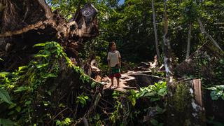 Por la Amazonía: Conoce las consecuencias de los delitos ambientales en el Perú