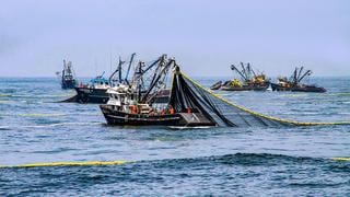 Produce suspende indefinidamente pesca de anchoveta entre Trujillo y Nazca