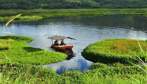 Laguna Oconal, posee 61 especies de aves y gran variedad de peces. (Fuente: Municipalidad de Oxapampa)