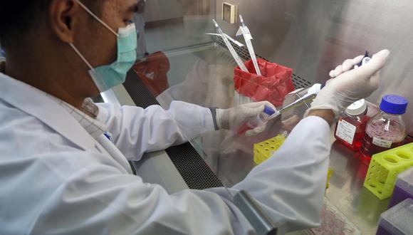 Científicos peruanos ya están probando las primeras vacunas contra el COVID-19 en ratones. (EFE/Referencial)