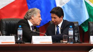 OEA aprobó resolución de apoyo al Gobierno de Pedro Castillo y enviará misión a Perú