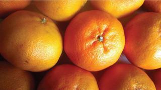 Niña muere por comer mandarina contaminada con agroquímico prohibido