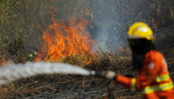 Desde hace dos semanas se registra el incendio forestal en algunos Estados de Brasil y Bolivia. (Foto: Reuters)