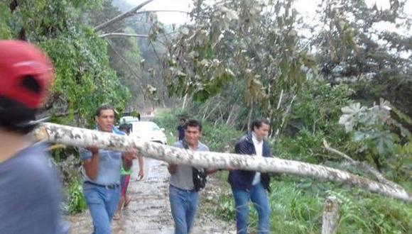 Varios conductores de los vehículos y pasajeros usaron machetes para cortar los árboles y despejar la vía. (Foto: Andina)