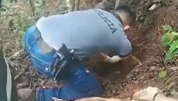 La cajita fue hallada en una chacra de la provincia de Lamas (Captura de video).