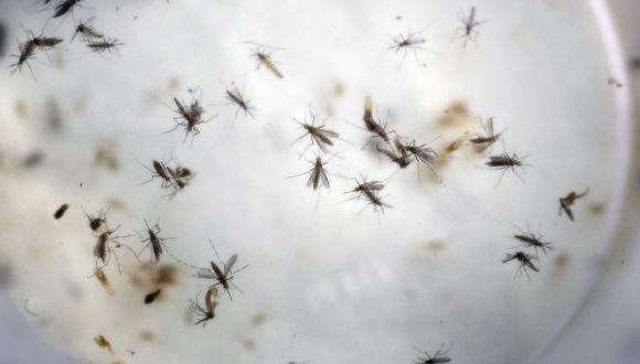 Se pronostican que en Colombia habrá 600 mil casos de Zika (AP)