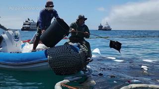 Ecuador: Unos 2 mil galones de diésel deja mancha “superficial” en el corazón de las Islas Galápagos